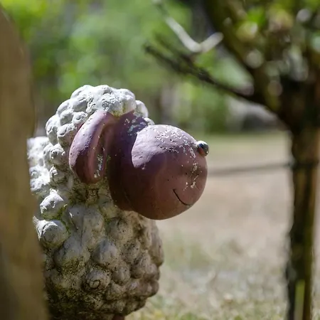 Huus Alex Dom wakacyjny *